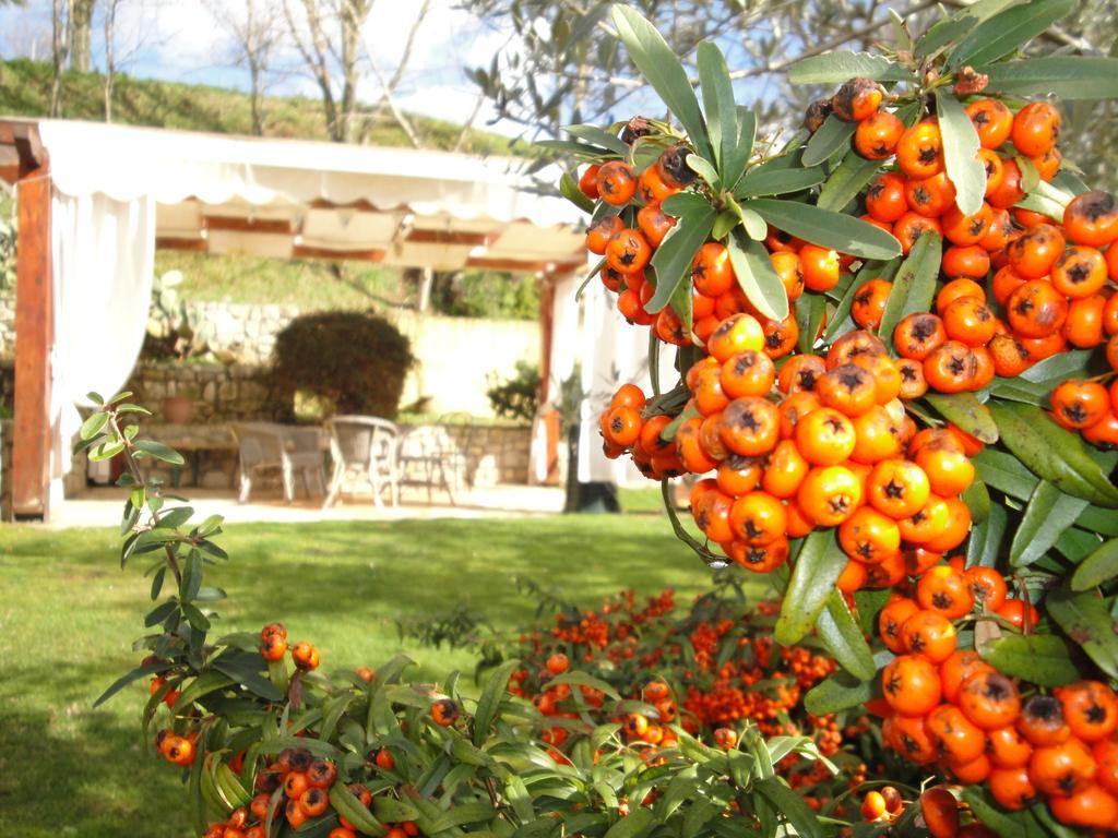 Отель Agriturismo Le Valli Acuto Экстерьер фото