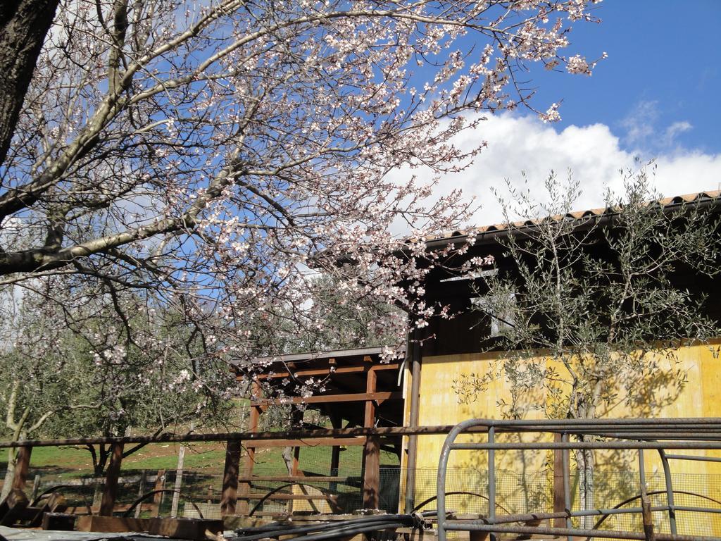 Отель Agriturismo Le Valli Acuto Экстерьер фото